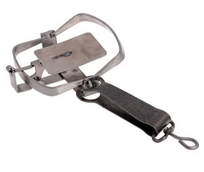 wu3t8gyhjjawne2fnsvyw5yqt1dttkel